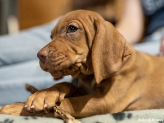 Brooke - sehr nachdenklich