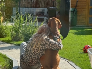 Kitaro-Oskar-Magyar Vizsla-das kann nur Liebe sein